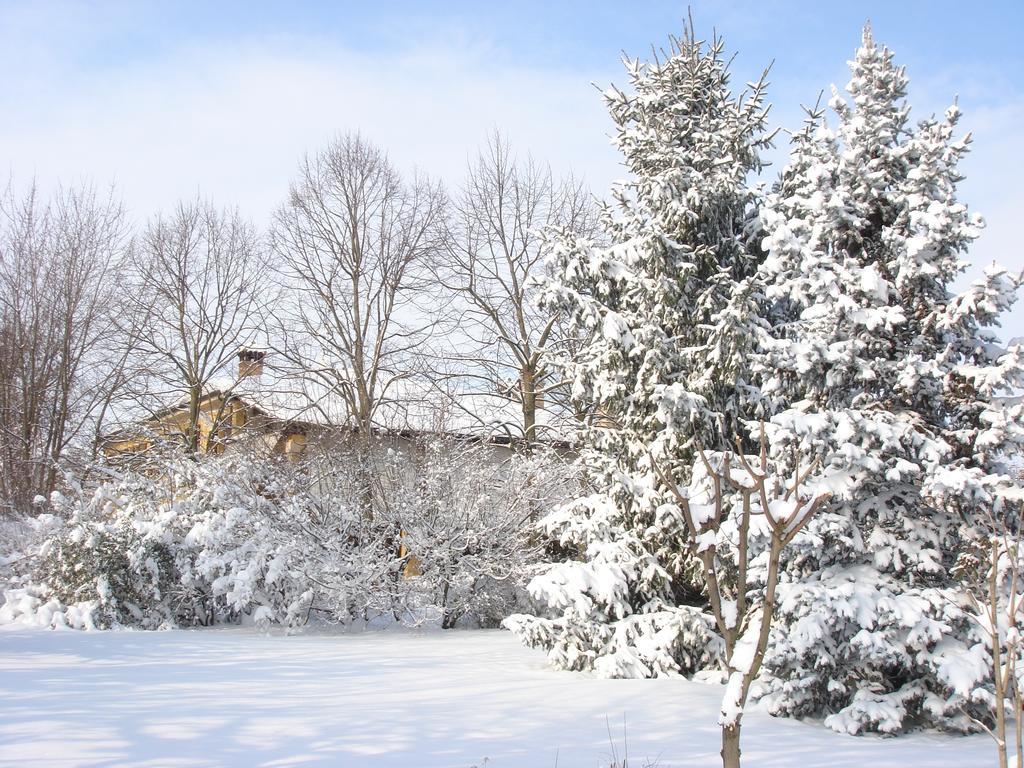 La Corte Del Cavaliere Bed & Breakfast Calderara di Reno